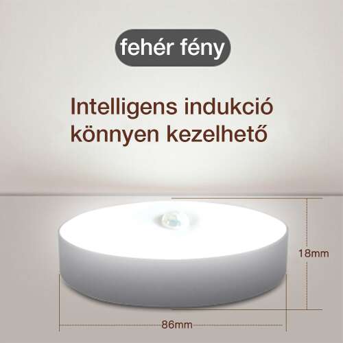 Dollcini Otthon Smart LED Lámpa – Mozgásérzékelős, Hideg Fény, 21 cm